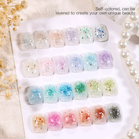 Vernis Gel UV Professionnel Effet Mica Coquillage 24 Couleurs Non Toxique Luxe Français Longue Durée Écologique Bouteille à Séchage LED pour DIY