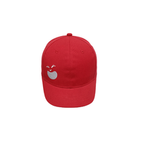 Gorra de Béisbol de 6 Paneles Personalizable de Alta Calidad con Tela 100% Algodón Impermeable, Ajustable para Ir de Compras, Empaquetada en Cartón