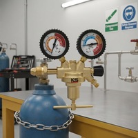 Régulateur de pression d'azote haute pression avec manomètres pour utilisation avec une bouteille de gaz N2
