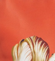 Haut de gamme femmes vêtements grande taille florale rétro robe formelle nouvelle dame genou Longueur bureau robe midi
