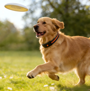 קולר חכם 3 ב-1 לחיות מחמד עם ניטור דופק מבוסס בינה מלאכותית, שיחות דו-כיווניות, מעקב <span class=keywords><strong>GPS</strong></span>/LBS בזמן אמת, בטיחות לחיית המחמד, ניילון ופלסטיק - Product Image 3