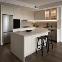 Gabinetes de Cocina Blancos Estilo Shaker de Calidad Profesional con Isla, Despensa y Módulos Preinstalados para Electrodomésticos para Construcción de Casas Nuevas