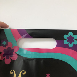<span class=keywords><strong>Pochette</strong></span> debout mate avec poignée découpée en plastique laminé sac de transport avec cadre <span class=keywords><strong>photo</strong></span> à fermeture éclair givré personnalisé - Product Image 5