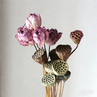 Lotus séché à double fleur avec tiges naturelles pour art aquatique, centre de table de mariage, décoration bohème pour la maison
