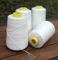 Sacs en plastique pour jardinage extérieur, parfaits pour les fleurs et les parcs d'attractions, avec terreau nutritif et fil à coudre