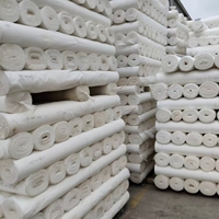 Tissu de doublure en pongé 100 % polyester 75D 210T tissé croisé, léger, respirant, imperméable et infroissable, vente en gros d'usine