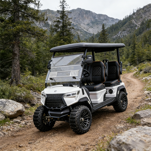 Carrito de Golf Eléctrico Resistente con Mayor Autonomía, Certificado por Orchard Dot CE GCC EEC para Uso en Carreteras No Públicas - Product Image 1