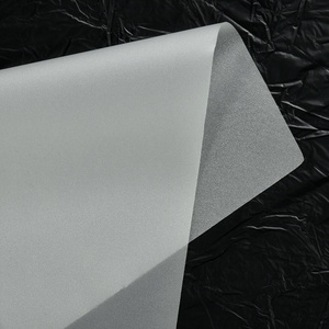 Pellicola Adesiva Termofusibile in TPU per Protezione Suole di Scarpe - Product Image 2