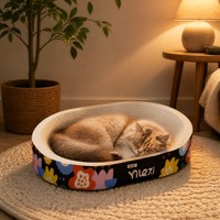 Grattoir pour chat en carton ondulé, grattoir incurvé pour chat, grattoir réversible pour chats d'intérieur et chatons
