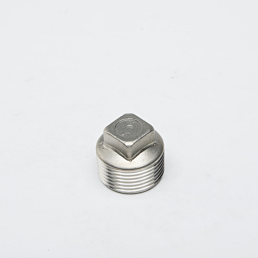 Stainless Steel Pipe Connector NPT/BSP Male Square Fitting Plug 1/2 Inch