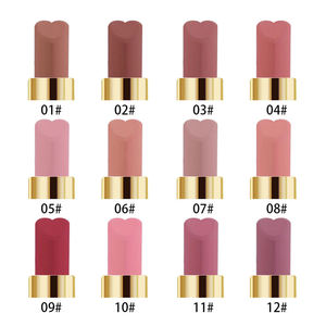 Atacado Heart Shape Batom 12 Color Velvet Nude Matte Batom Maquiagem Impermeável Duradoura Metálica Beleza Batons Maquiagem