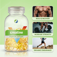 Capsules de créatine monohydrate halal pures en vrac OEM 300g 500g 1kg Suppléments Marque privée Créatine monohydratée en gélules