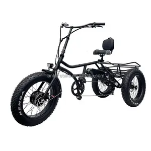 새로운 도착 싼 가격화물 전기 trike 500w 750w 전기 tricycle 3 바퀴 전기 자전거 성인용