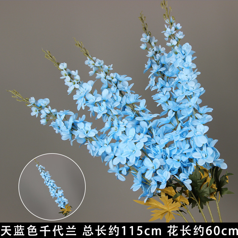 Sky blue chrysanthemum branches