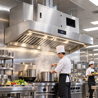 Machine de purification des fumées d'huile électrostatique intégrée en acier inoxydable, premium et peu encombrante, pour projets de cuisines hôtelières et de restauration