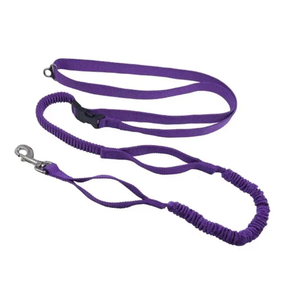 Premium PET Durable Soft Neoprene Handle Strong Nylon Elastic Wholesale <b>Dog</b> Leash Outdoor <b>Training</b> <b>Leads</b> - Product Image 2