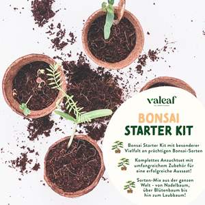 Coffret cadeau pour bonsaïs <span class=keywords><strong>d</strong></span>'<span class=keywords><strong>intérieur</strong></span> 4 types <span class=keywords><strong>d</strong></span>'accessoires pour bonsaïs <span class=keywords><strong>de</strong></span> style campagnard Kit <span class=keywords><strong>de</strong></span> <span class=keywords><strong>d</strong></span>émarrage pour la <span class=keywords><strong>d</strong></span>écoration <span class=keywords><strong>de</strong></span> la maison sur le sol Bureau - Product Image 5