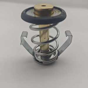 תרמוסטט 2193240 מחפר מנוע מחפר משאית בולדוזר מחלקי חילוף/תוצרת סין - Product Image 4