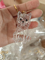 MJ Wholesale Pet Supplies – Nouvelle capsule transparente pour poils de chien, porte-clés de conservation de fourrure d'animal, pendentif souvenir DIY en forme de chien mignon