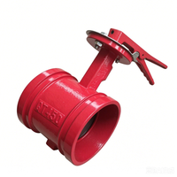 Vanne papillon rainurée pour système d'incendie à jet d'eau JIS 10K ANSI 150 #   BS pour OEM homologué FM, usage intensif