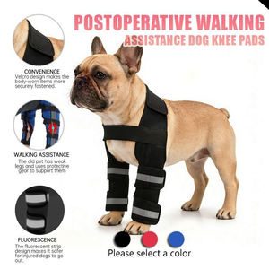 <span class=keywords><strong>Rodillera</strong></span> de doble articulación para perros pequeños <span class=keywords><strong>con</strong></span> barra de soporte metálica, reflectante, para recuperación postquirúrgica y protección anti-lamido - Product Image 1