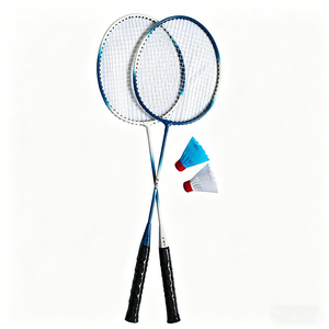 Ensemble de <span class=keywords><strong>badminton</strong></span> d'entrée de gamme JH Wholesale, 2 raquettes + 2 volants, cadre en acier, sac en PP avec logo autocollant personnalisé - Product Image 4