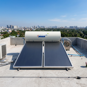 Chauffe-eau solaire commercial durable à plaque plate, système thermique à réservoir pressurisé 200L Classe A+++ en acier inoxydable pour hôtels - Product Image 1