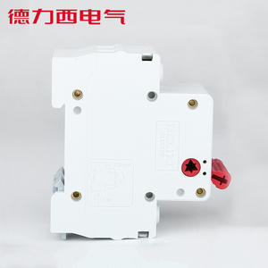 สวิตช์ตัดวงจร Delixi 2P รุ่น DZ47G แบบโมดูลาร์ขนาดเล็ก 20A/25A/32A/40A/63A/100A สวิตช์หลัก 220V เบรกเกอร์วงจรขนาดเล็ก - Product Image 1