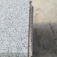 G603 Pierres de granit naturel Gris clair Carreau de granit flammé pour décoration d'escaliers du fabricant