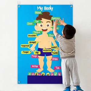 Kit interactif d'apprentissage précoce pour enfants d'âge préscolaire : Tableau d'histoires sur les parties du corps en feutre, enseignement éducatif des organes humains, rangement inclus - Product Image 3