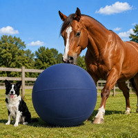 Ballon de dressage géant gonflable, grand ballon durable pour l'extérieur, avec housse imperméable, pour le jeu autonome et le soulagement de l'ennui en extérieur