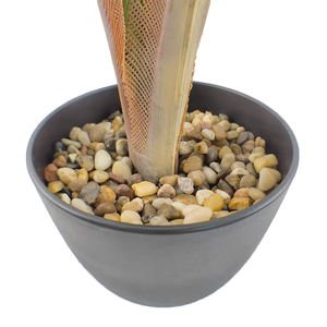 ขายส่งต้นปาชิรามาโครคาร์ปาเทียม, ขายต้นบอนไซเทียม, ต้นเงินพลาสติก - Product Image 4