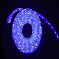LED-Lichtband PVC IP65 Wasserdicht 10mm Rund Outdoor LED-Lichtschlauch für Weihnachtsfeier