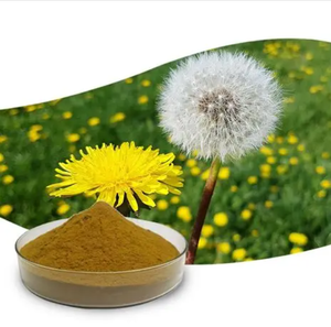 Pó de Extrato Herbal de Raiz de Dente-de-Leão Natural Personalizável, Extraído por Solvente, 99% de Ácido Clorogênico Padrão, Grau Alimentício, 25kg - Product Image 3