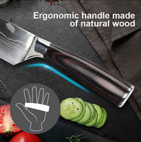 Ensemble de couteaux de cuisine haut de gamme en acier Damas de haute qualité avec manche en bois coloré – Prix de gros