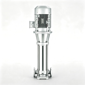 Pompe centrifuge verticale multi-étages série AS5 pour le transfert d'eau, le traitement, l'irrigation et le transport industriel - Product Image 1
