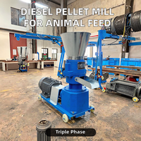 Nueva Máquina de Pellets de Metal Diésel, Multi-Tamaño de Pellets, para Producción de Alimento para Pollos, Cerdos y Ganado, Producción Estable, Fácil Operación, 80-150kg/h