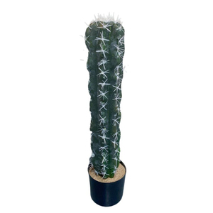 Usine directement ornementale en plastique Cactus Cactus Plante artificielle d'intérieur Erevgreen Décoration en plastique Cactus Faux plantes - Product Image 1