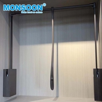 Porte-vêtements escamotable silencieux pour armoire, gain de place, en acier, avec double amortisseur et fermeture douce