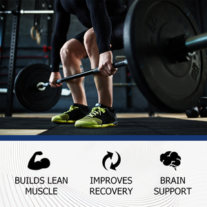 Best Selling Creatine Monohydrate Powder with Creatine Monohydrate Supports Muscle Strength Endurance Cognitive Function Powder - Product Image 3