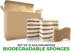 Biodegradable Natural Kitchen Sponge Dish Scrubbing Sponge Eco Friendly Sponges For Dishes