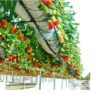 Serre Agricole 1000m² – Kit Complet de Serre pour la Culture de Légumes