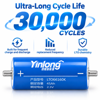 Sel Baterai Lithium Titanate Yinlong LTO Kelas A AS 2.3V 45Ah, Suhu Lebar -50~65 ° C untuk Daya Cadangan Audio Mobil OEM ODM