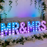 Letras LED 'Cásate Conmigo', Bombillas LED, Alfabeto Luminoso, Número de Dirección, Transformador, Control Remoto, Soporte de Pared, AC 110-220V, Decoración