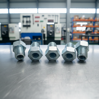 Adaptateur hydraulique haute pression en acier au carbone zingué, raccord de tuyau à filetage mâle multi-standards, directement de l'usine