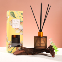 Diffuseur de roseaux aromatiques 100 ml Happy Stroll, huile essentielle naturelle, parfum d'ambiance longue durée, cadeau, OEM, marque privée