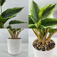 Tanaman Hosta Buatan dalam Pot Silinder Putih Modern Buatan Tangan Daun Palsu Berwarna-warni Realistis untuk Dekorasi Meja Pintu Masuk Rumah.