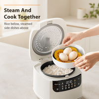 Mini cuiseur à riz intelligent 2L multifonctionnel pour la maison, tasse à mesurer électrique, compatible européenne