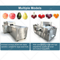 ORME Fruitpitverwijderingsmachine Perzikpit Kersenontpitter Jujube Abrikoos Pruimenpitverwijderaar Machine