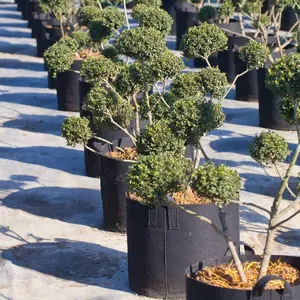 Wholesale Heavy Duty Round Grey Non-woven Logo Flowers Plants Smart Pots 30 50 10 7 2 15 200 5 3 Gallon Fabric Pots For Plant